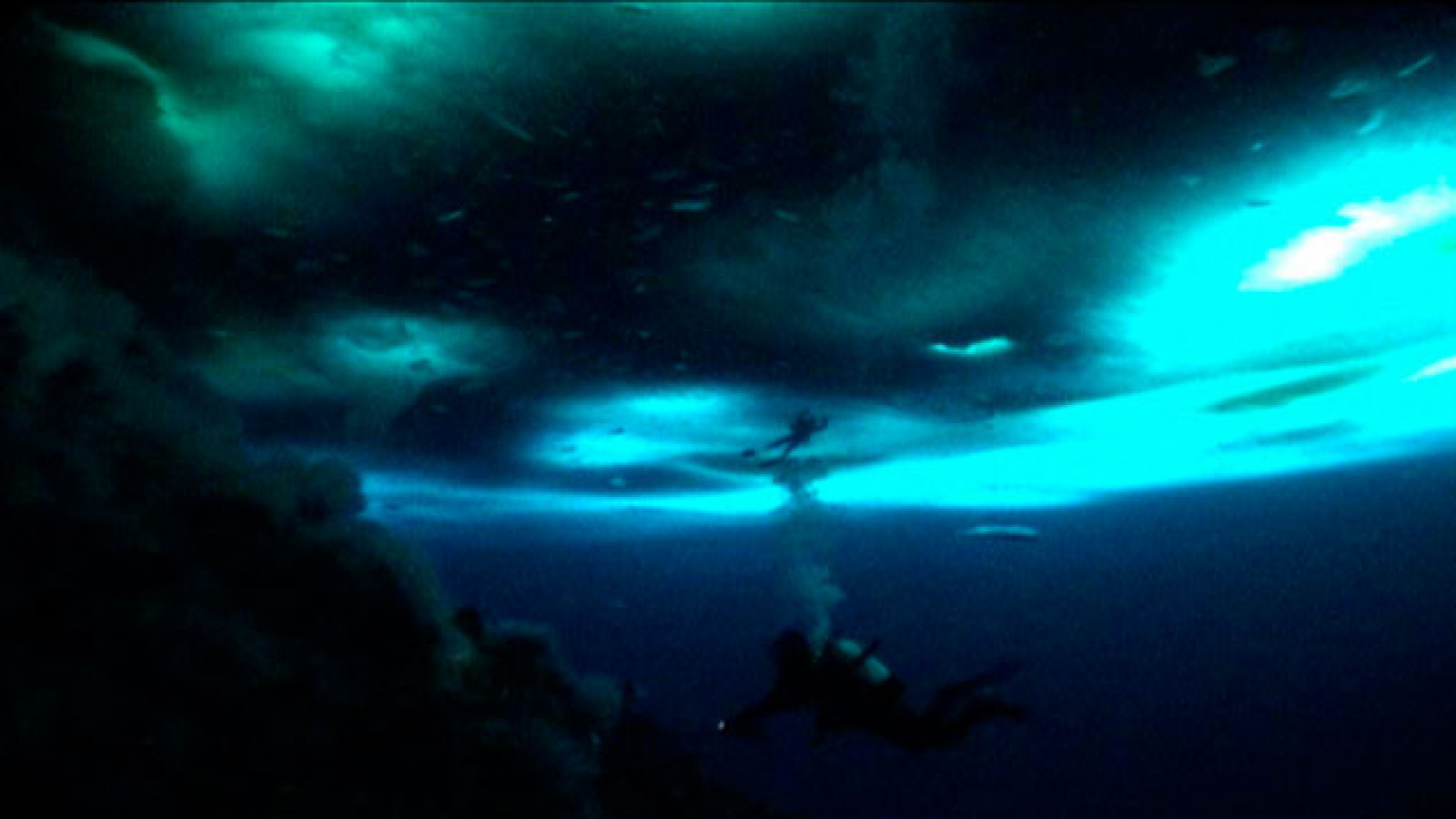 La salvaje y azul lejanía – WERNER HERZOG