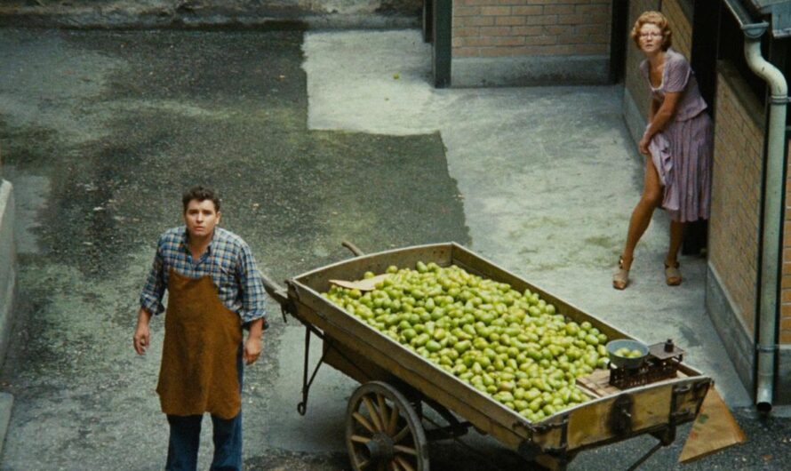El mercader de las cuatro estaciones | RAINER WERNER FASSBINDER