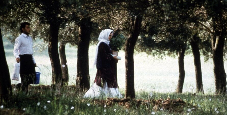 A través de los olivos | ABBAS KIAROSTAMI
