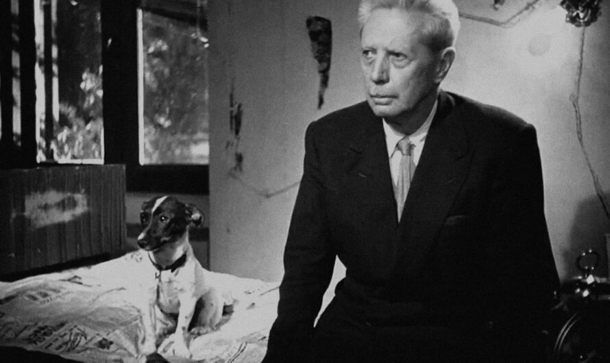 Umberto D. | VITTORIO DE SICA